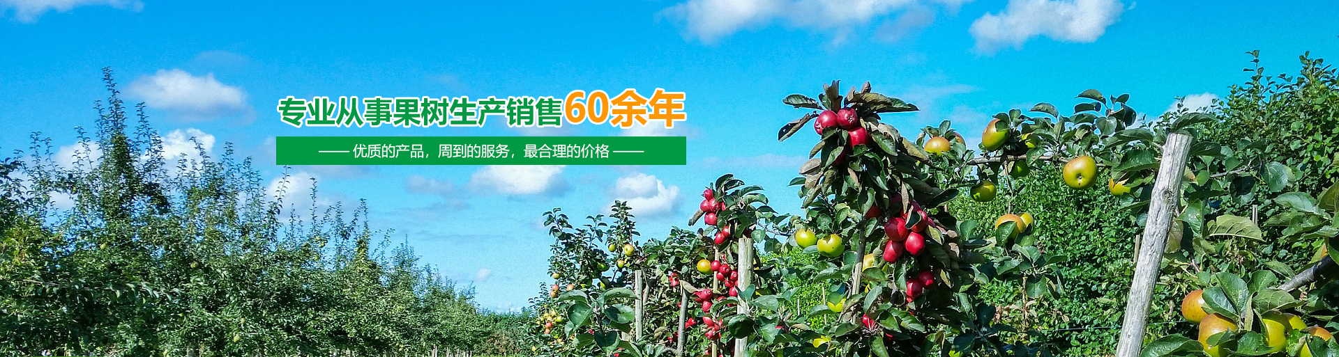 江南全站手机版