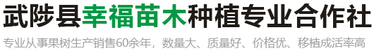 江南体育