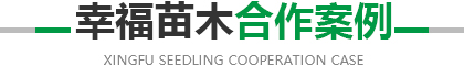 江南体育